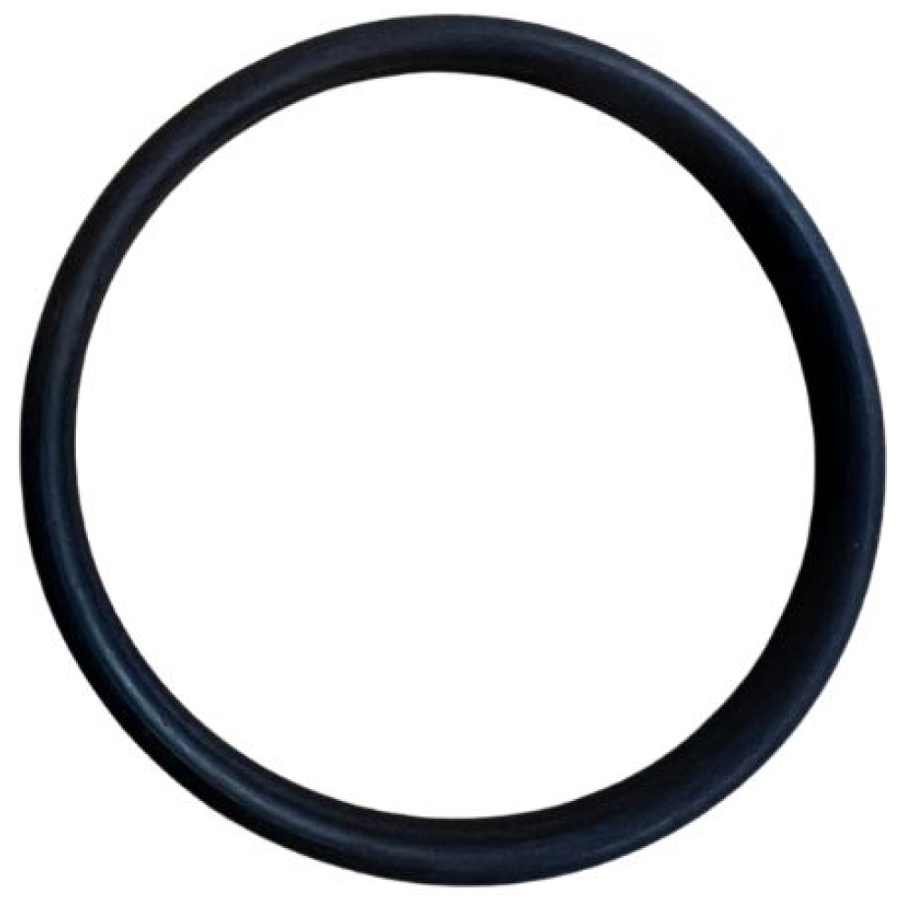 MASTER CODE Quartz Sleeve O Ring to suit Series II Pressure Filters