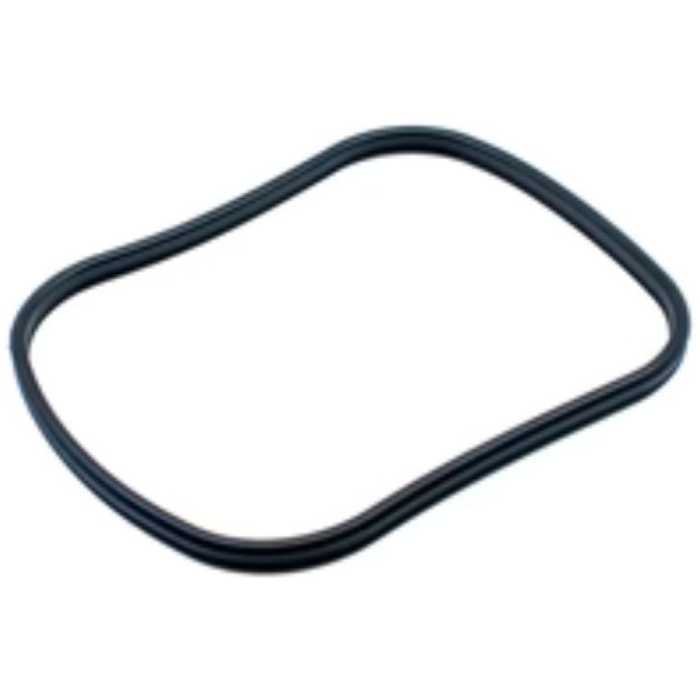 OASE Spare part main gasket BioMaster  | 45148