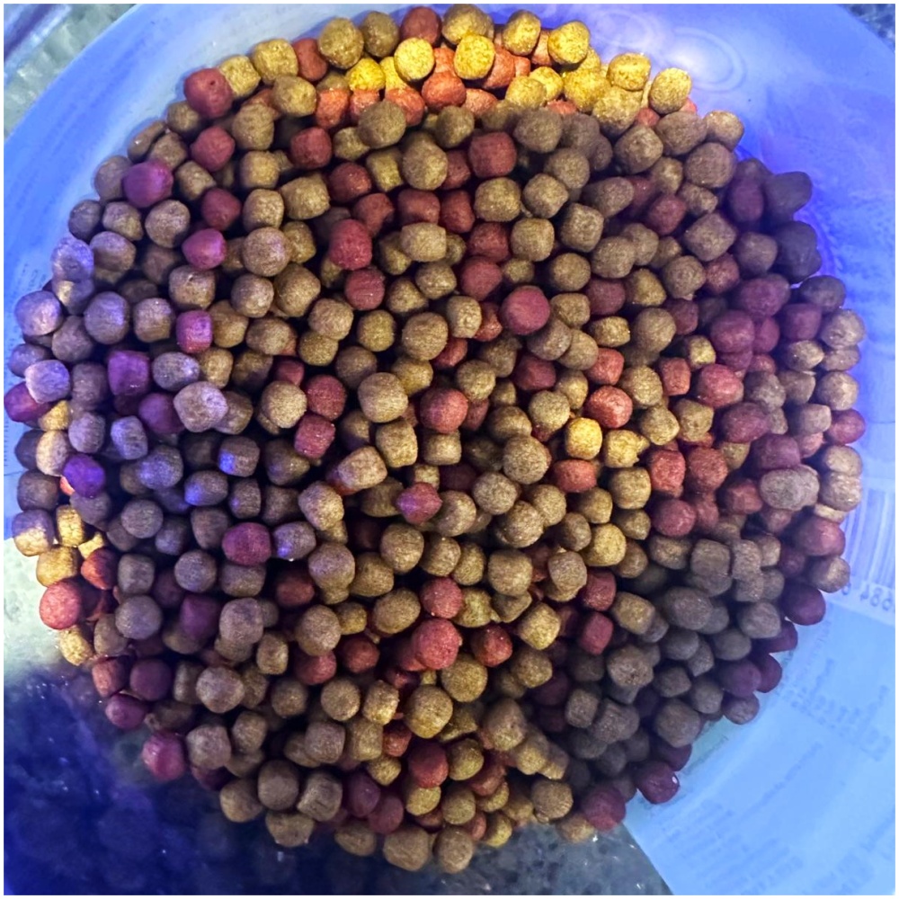 Canley vale Colour Boost 3-5mm Floating Pellet 150g - Image 2