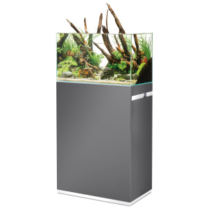OASE ScaperLine 60 grey Set | 87983 (87996 & 88018)