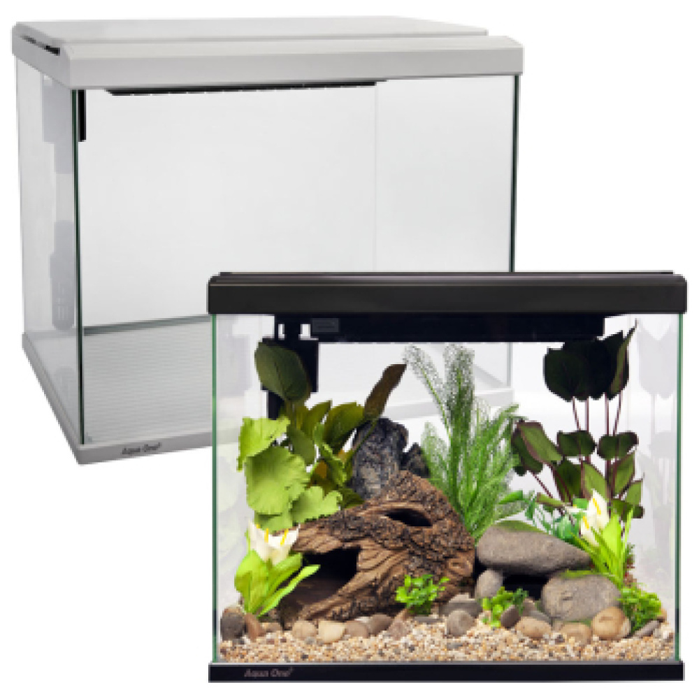 LifeStyle 40 Complete Glass Aquarium