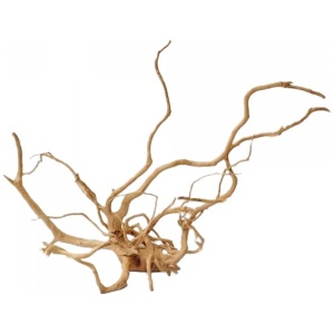 Spider Wood XLarge 50 – 60cm 6 Pieces