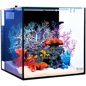 NanoReef 80 Marine Aquarium 80L 45 X 45 X 45cm