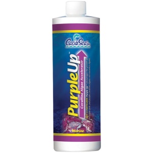 Purple-Up