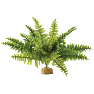 Exo Terra Boston Fern Medium 40cm Wide