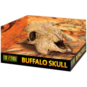 Exo Terra Buffalo Skull – Medium