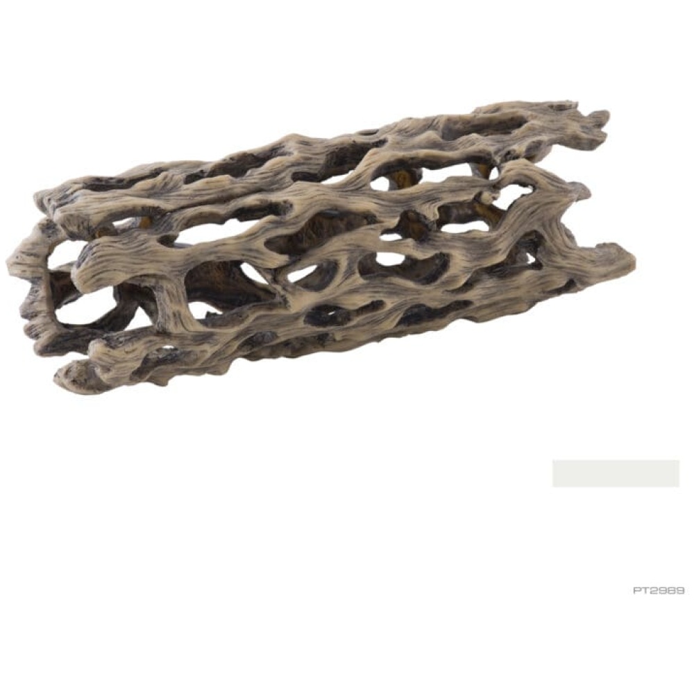 Exo Terra Cholla Cactus Skeleton - Large
