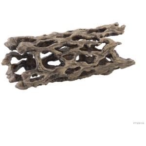 Exo Terra Cholla Cactus Skeleton – Medium