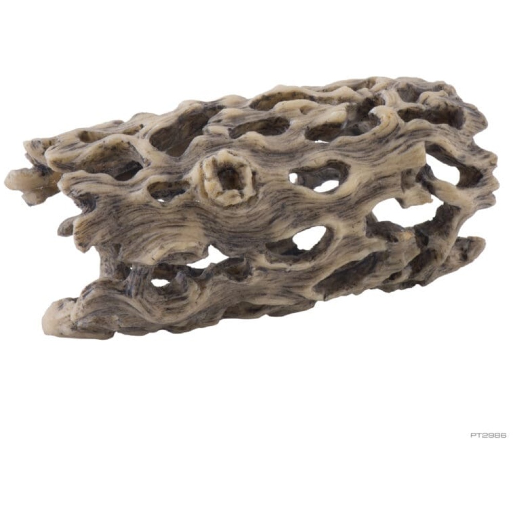 Exo Terra Cholla Cactus Skeleton - Small