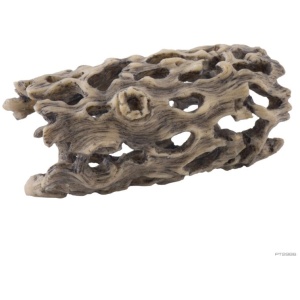 Exo Terra Cholla Cactus Skeleton – Small