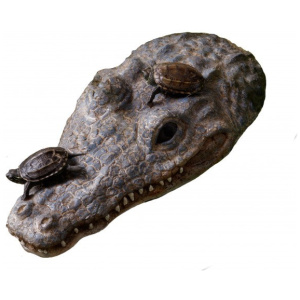 Exo Terra CrocTurtle Island