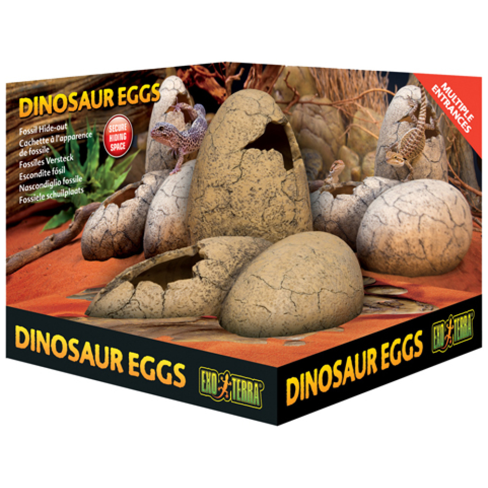 Exo Terra Dinosaur Eggs Hide Out