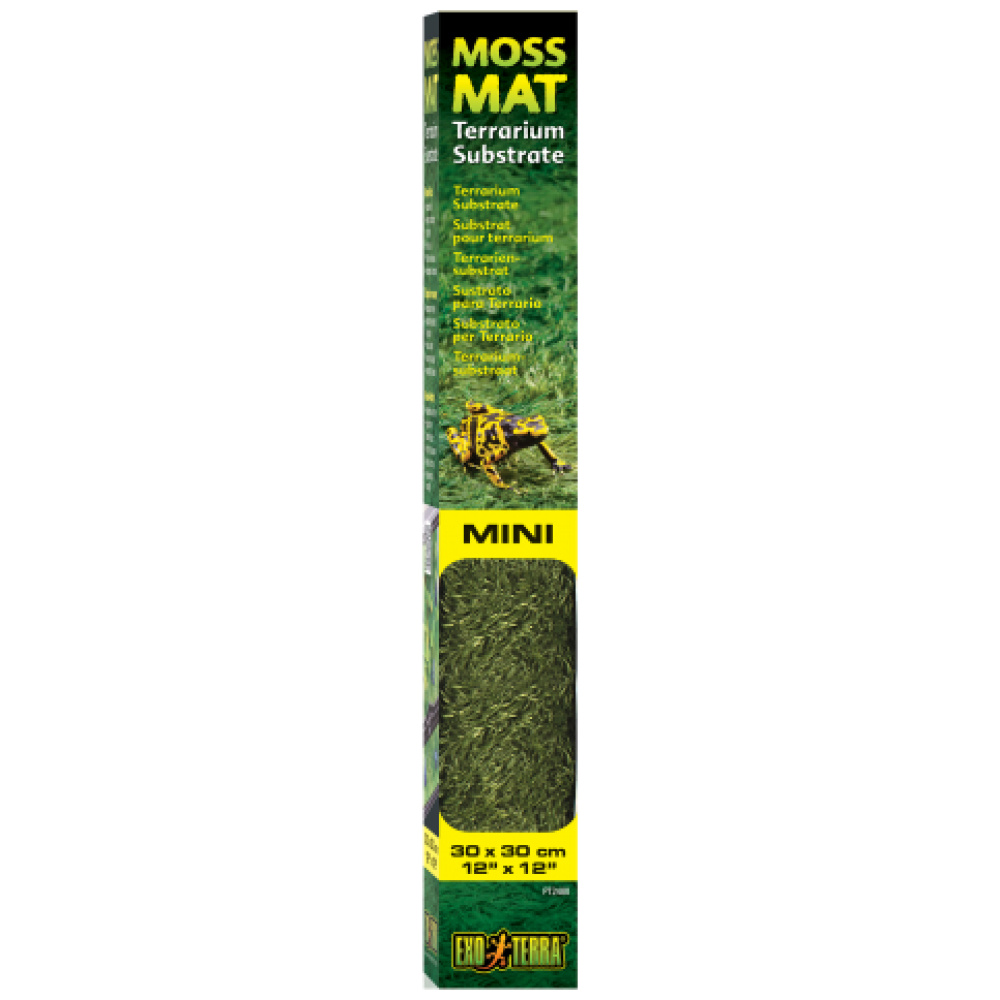 Exo Terra Forest Moss Mat Mini 30cm X 30cm