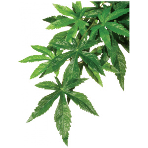 Exo Terra Forest Plant Abutilon Medium