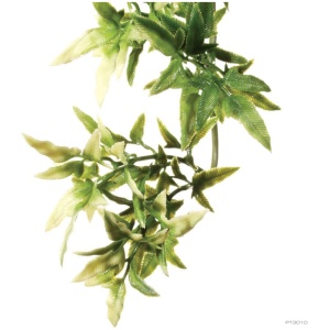 Exo Terra Forest Plant Croton Small