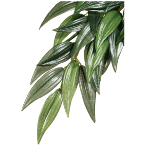 Exo Terra Forest Plant Ruscus Small