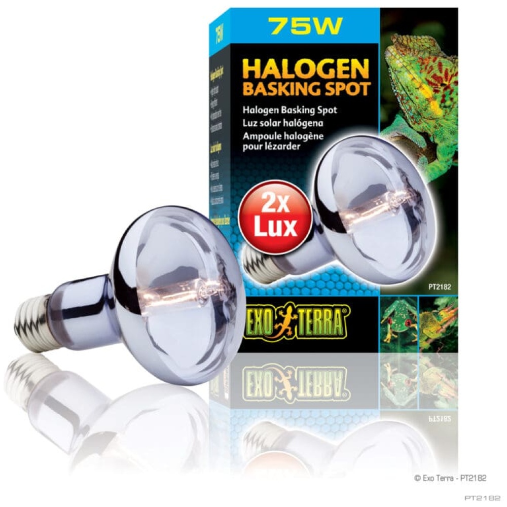 Exo Terra Halogen Basking Spot Lamp 75w