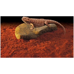 Exo Terra Heating Rock Large