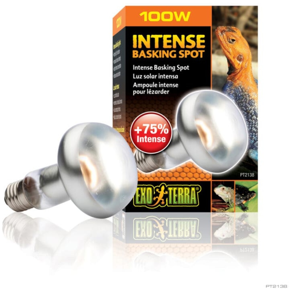 Exo Terra Intense Basking Spot Lamp 100w