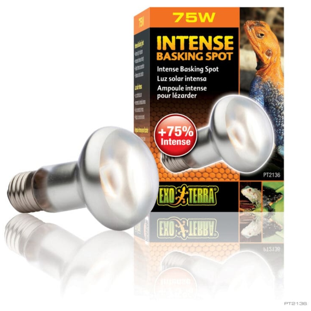 Exo Terra Intense Basking Spot Lamp 75w