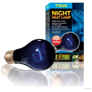 Exo Terra Night Heat Bulb 75w