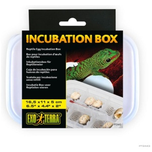 Exo Terra Reptile Incubation Tub