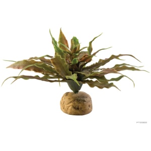 Exo Terra Star Cactus 23cm Wide