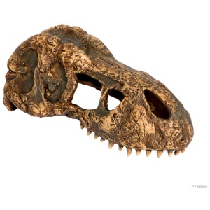 Exo Terra T Rex Skull – Small