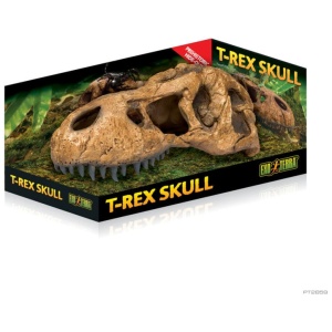 Exo Terra T Rex Skull – Small