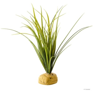 Exo Terra Turtle Grass