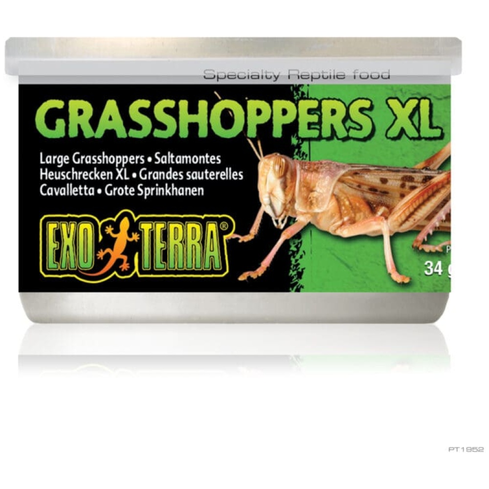 Exo Terra Wild Grasshoppers Xl 34g