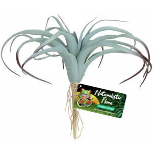 Zoo Med Tillandsia