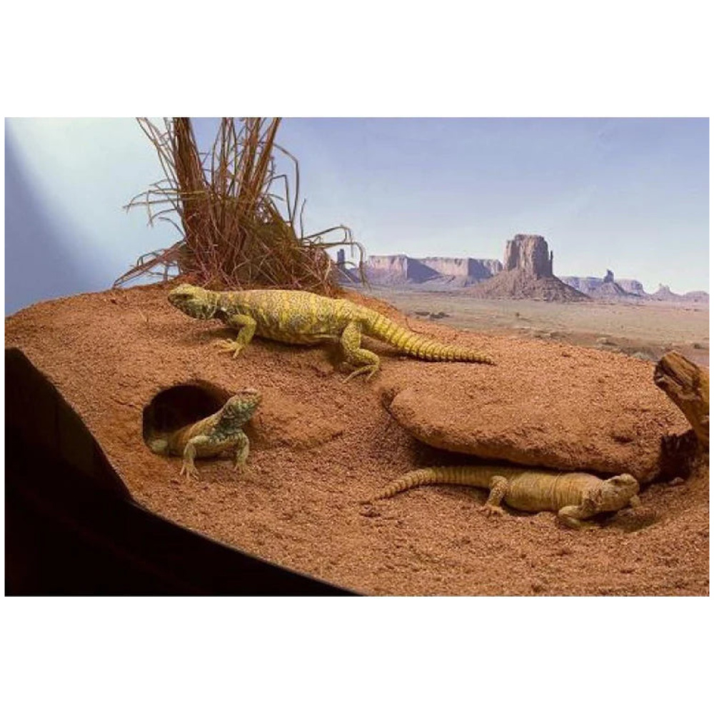 Zoo Med Box Cavern Kit with Excavator 12lb - Image 2