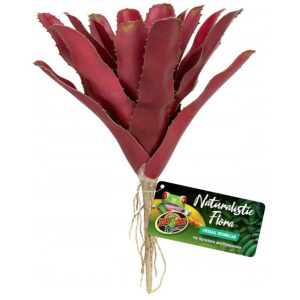 Zoo Med Fireball Bromeliad