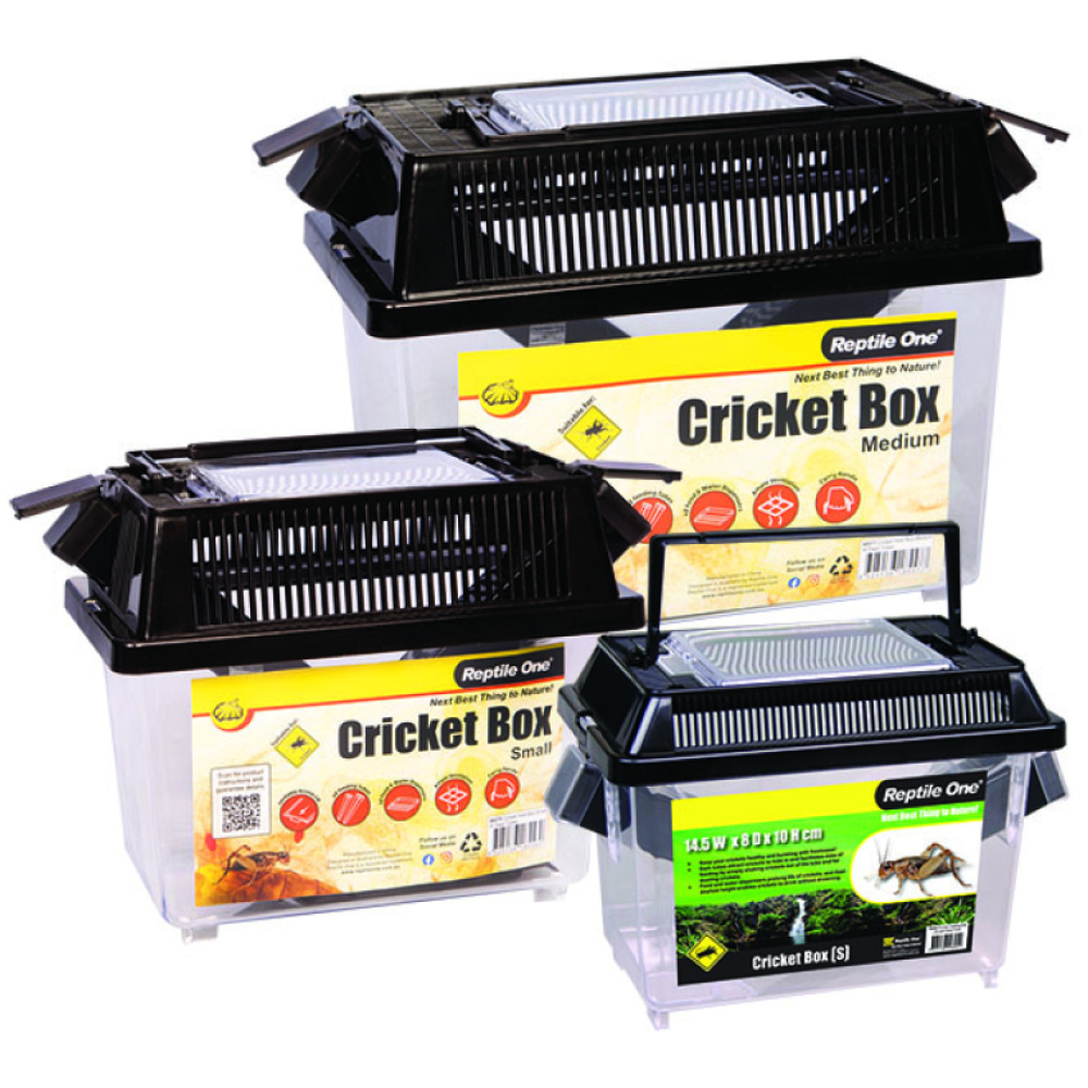 Reptile One Cricket Hold Box S W Feed Tube 14.5x8x10cm
