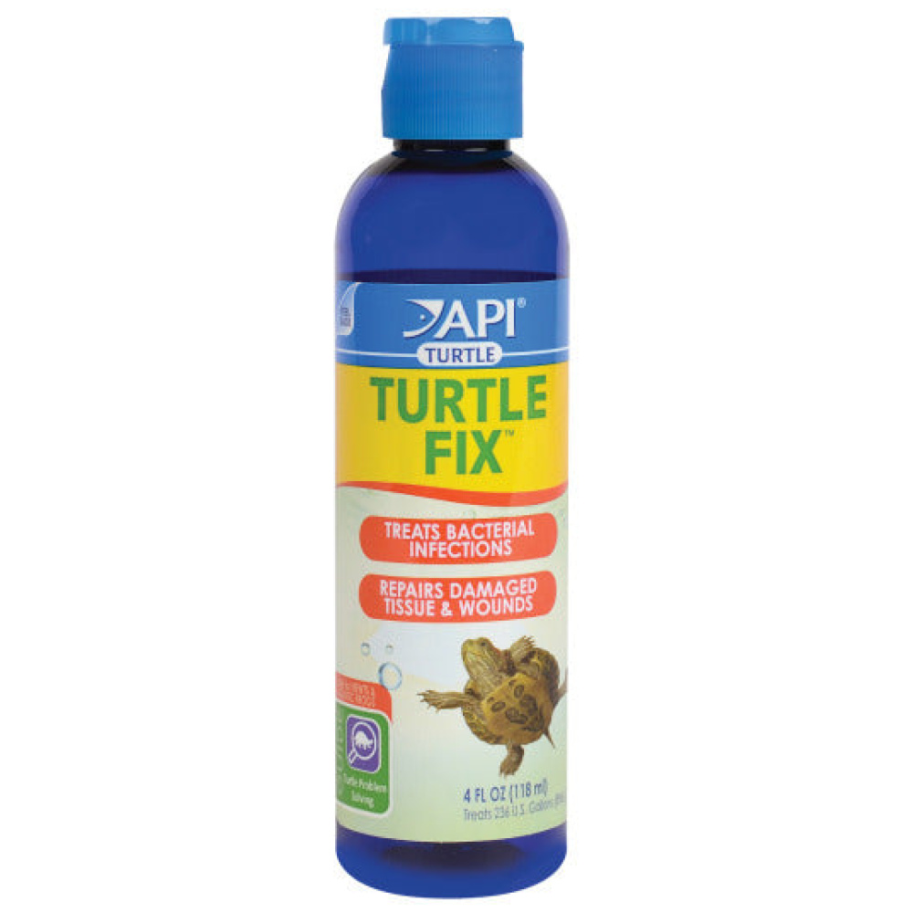 API Turtle Fix - Image 2