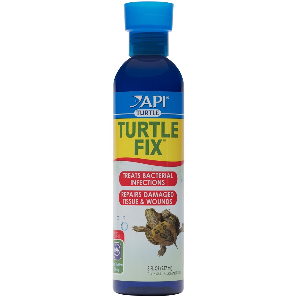 API Turtle Fix