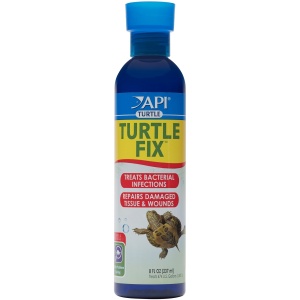 API Turtle Fix