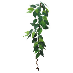 Eco Tech Hanging Ficus W/Vine 60Cm