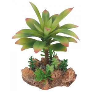Eco Tech Flowering Cajun Cactus 13Cm