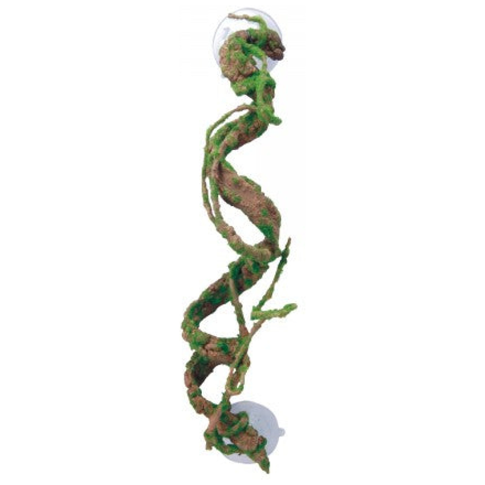Eco Tech Corkscrew Vine 40Cm