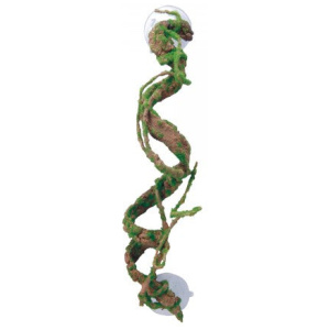 Eco Tech Corkscrew Vine 40Cm