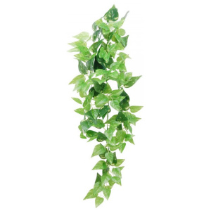 Eco Tech Hanging Honey Ivy 80Cm