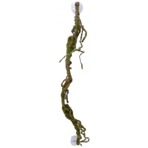 Eco Tech Multiple Twist Vines With Moss Lichen 80Cm