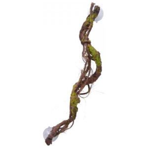 Eco Tech Multiple Vines With Moss Lichen 60Cm