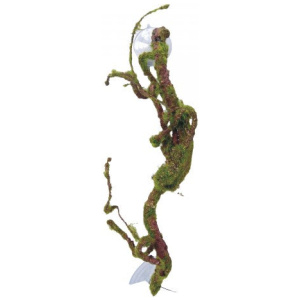 Eco Tech Twisted Vine With Moss Ball 40Cm