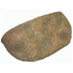 Reptile One Dyno Rock Climbing Ledge – Small 24.5X13X6Cm