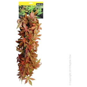 Reptile One Hanging Sativia Red 40Cm