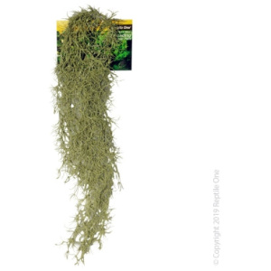 Reptile One Hanging Spanish Moss Grey 40Cm