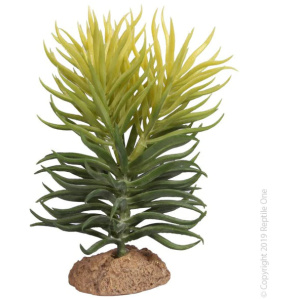 Reptile One Pencil Succulent With Resin Base12.5X10.8X15Cm